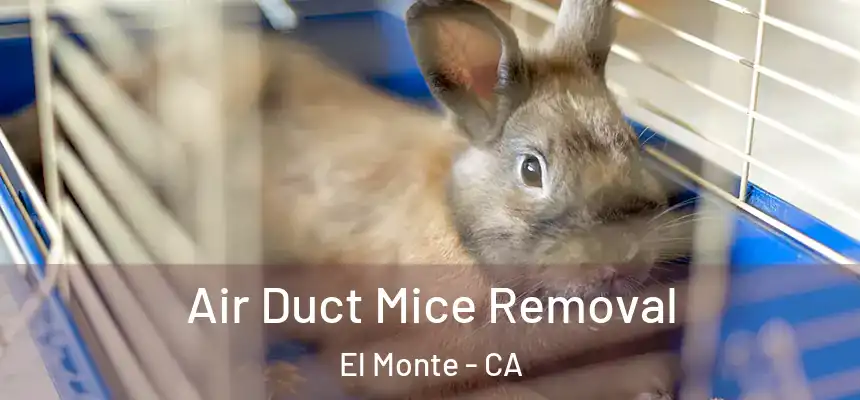  Air Duct Mice Removal El Monte - CA