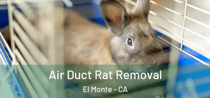  Air Duct Rat Removal El Monte - CA