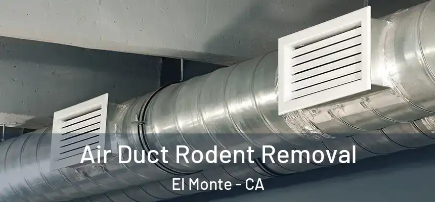  Air Duct Rodent Removal El Monte - CA