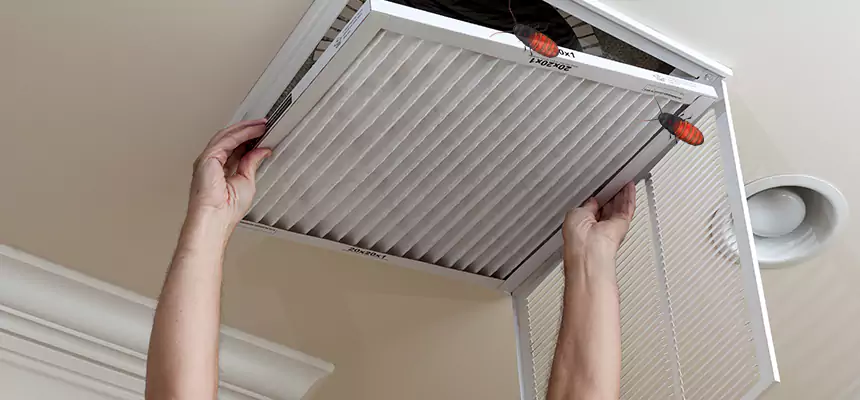 Preventive Cockroach-Proofing for Ducts in El Monte