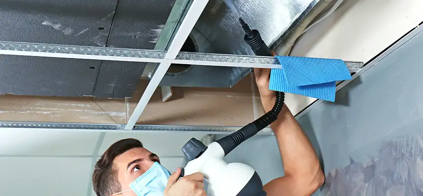 Our Air Duct Rodent Removal Services in El Monte, CA