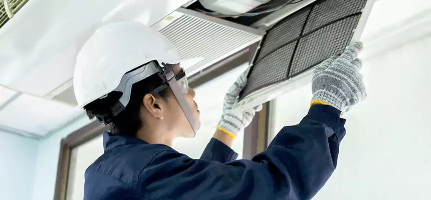 Our Mold & Mildew Removal from Air Ducts Services in El Monte, CA