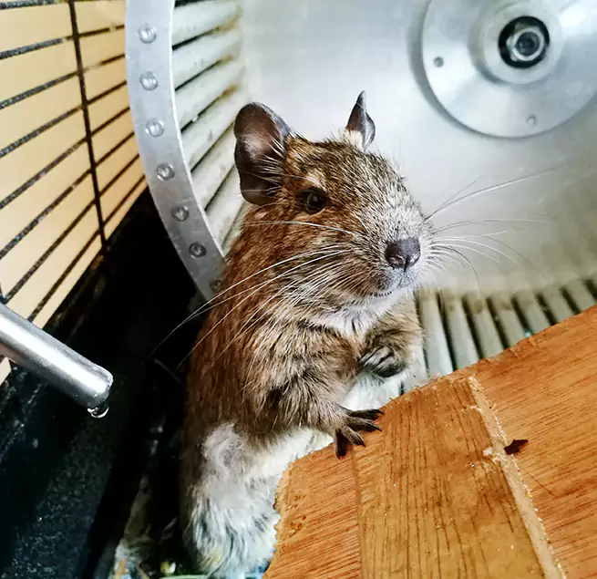 Why Homeowners & Businesses Trust Us El Monte, CA