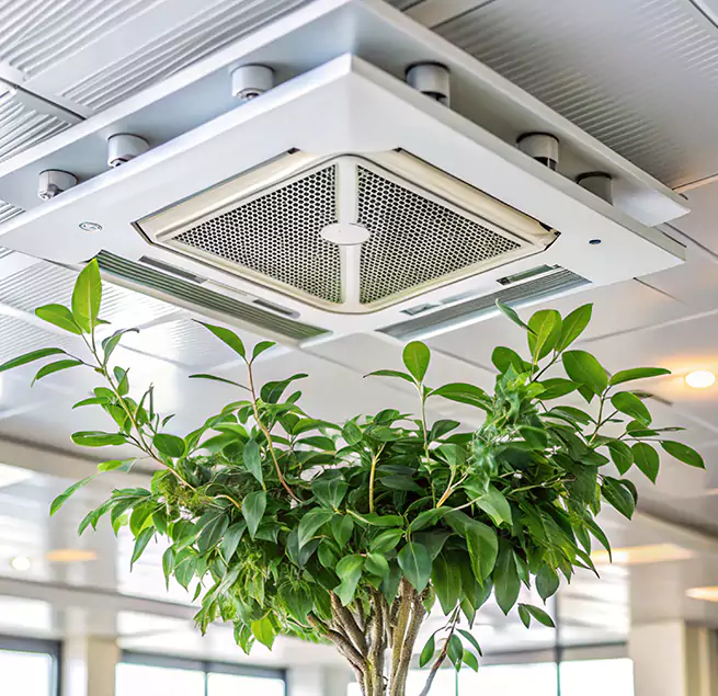 Why Homeowners & Businesses Trust Us in El Monte, CA?